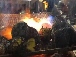 CLIP: Độc lạ với sầu riêng nướng cháy đen trên lò than, món ngon ở chợ đêm Thái Lan