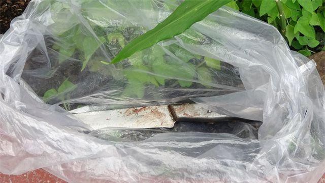 Vụ 3 người trong 1 gia đình thương vong: Nghi án con rể giết mẹ vợ