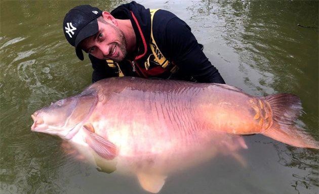 CLIP: Cận cảnh chú cá chép ‘khủng’ nhất thế giới bị cần thủ tóm được