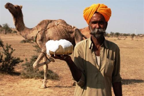 CLIP: Đây chính là loại sữa được ví như ‘vàng trắng’