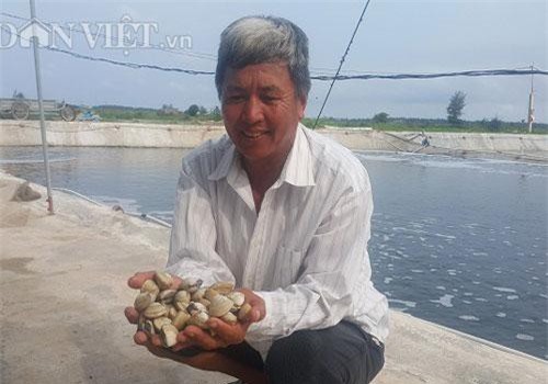 Thái Bình: Xây ao nổi cho ngao đẻ, có tiền tỷ mỗi năm
