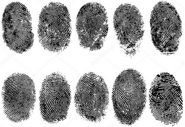 Tại sao vân tay chúng ta không trùng nhau?