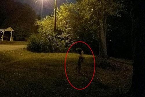 Sinh vật kỳ bí xuất hiện đêm trăng tròn khiến cả mạng xã hội 'tá hỏa'