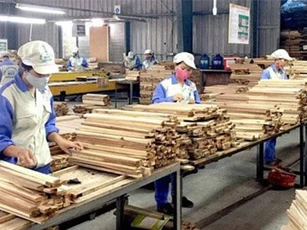Việt Nam dẫn đầu Đông Nam Á về xuất khẩu gỗ hợp pháp sang Mỹ