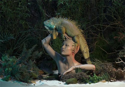 Những bức hình ấn tượng qua 8 mùa Vietnam's Next Top Model