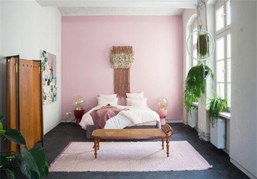 Để ngôi nhà không còn đơn điệu và nhàm chán thì có một lựa chọn rất thú vị