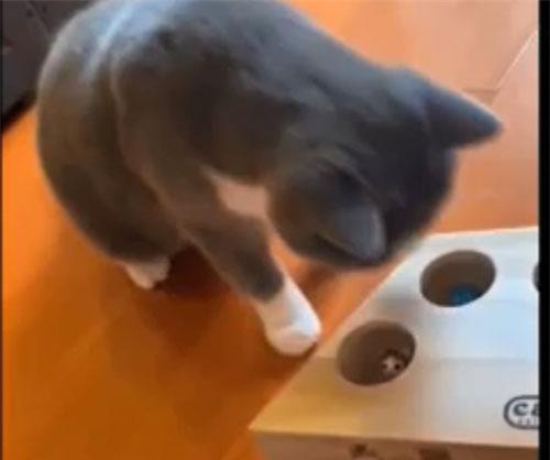 CLIP: Không thể nhịn cười với những tình huống hài hước gây 'sốt' mạng xã hội