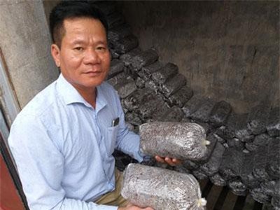 Cất bằng kỹ sư công nghệ thông tin, về núi trồng nấm thành tỷ phú