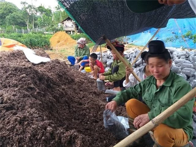 cat bang ky su cong nghe thong tin, ve nui trong nam thanh ty phu hinh anh 5