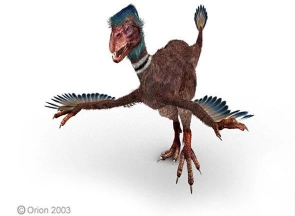 Khủng long Incisivosaurus