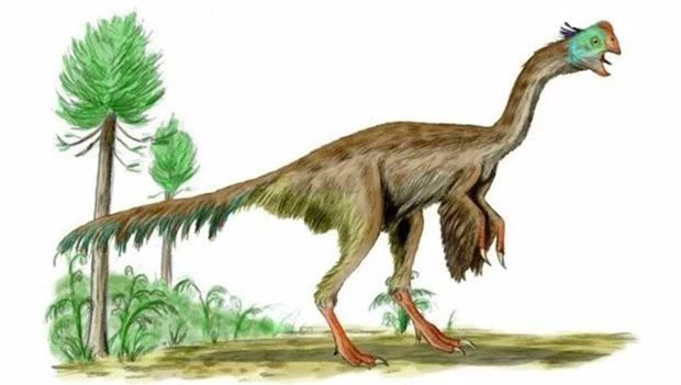 Khủng long Gigantoraptor