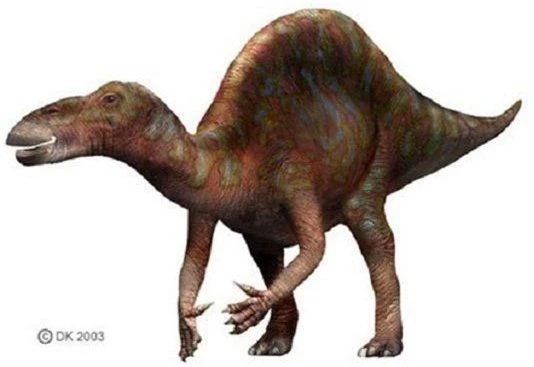 Khủng long Ouranosaurus