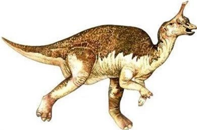 Khủng long Tsintaosaurus