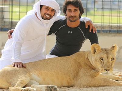 Thú vui nuôi sư tử và sở thích xa hoa của giới nhà giàu Dubai