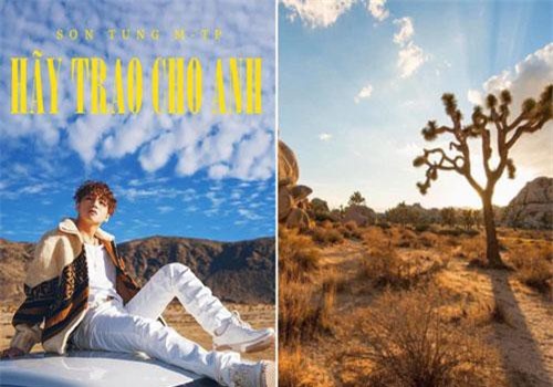 Địa điểm xuất hiện trong MV mới của Sơn Tùng M-TP từng bị đóng cửa 3 tuần do du khách chặt cây và cắm trại bất hợp pháp