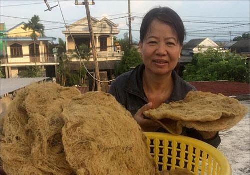 Thừa Thiên Huế: Sau sơ chế thứ "lộc biển" này tăng giá gấp hơn 20 lần dạng thô