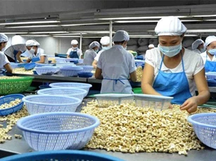 Trong 5 tháng, 19 mặt hàng đạt giá trị xuất khẩu trên 1 tỷ USD