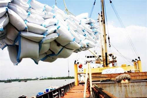 Xuất khẩu gạo của Việt Nam phải tính chuyện đường dài