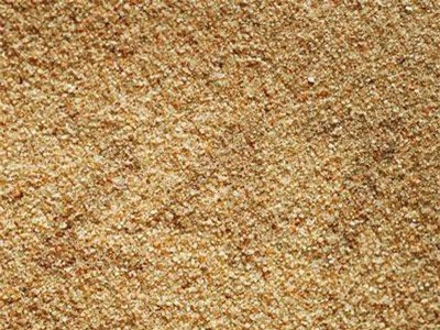 Thử thách 5 giây để tìm ra đáp án ở câu đố dưới đây