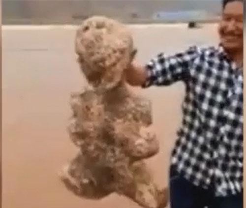 CLIP: Hãi hùng nhìn xác sinh vật lạ có hình dạng giống người trôi dạt vào bờ