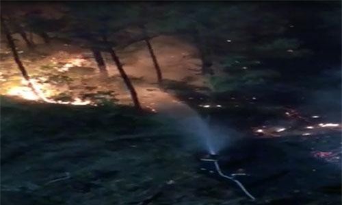 CLIP: Hàng ngàn người chữa cháy rừng xuyên đêm tại Huế