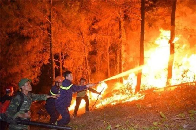 Cháy rừng trong đêm: Lửa lại phát dữ dội vào sáng sớm - 2