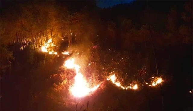 Hàng trăm người căng mình chữa cháy ở khu rừng cuồn cuộn lửa trong đêm - 1