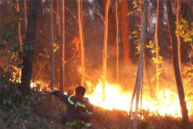 Hàng trăm người căng mình chữa cháy ở khu rừng cuồn cuộn lửa trong đêm - 2