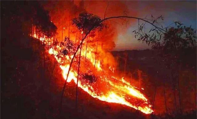 Hàng trăm người căng mình chữa cháy ở khu rừng cuồn cuộn lửa trong đêm - 9