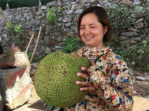 son la: trong mit ta ra qua to vat, hai bao nhieu ban het bay nhieu hinh anh 5