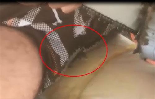 CLIP: Đang ngồi, người đàn ông rụng rời chân tay vì rắn độc bò vào chỗ hiểm