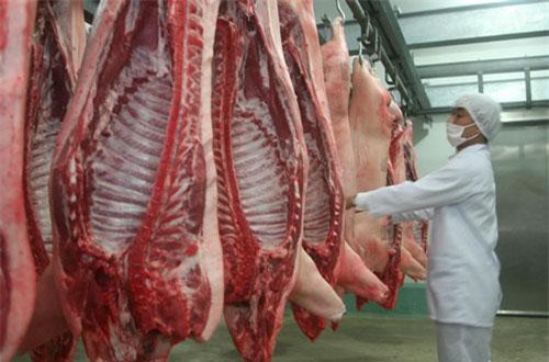 Thịt lợn nhập khẩu ồ ạt vào Việt Nam, ngành chăn nuôi tiếp tục gặp khó