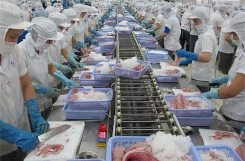 Xuất khẩu thủy sản: Gỡ “điểm nghẽn” thị trường Trung Quốc