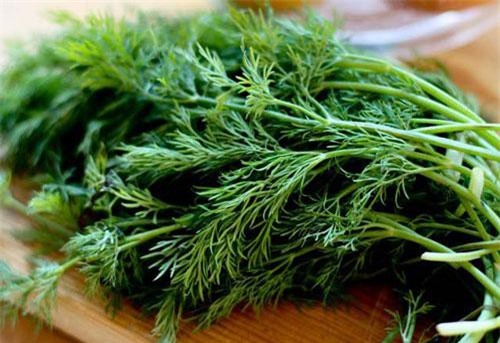 CLIP: Công dụng kỳ diệu của rau thì là ít ai ngờ