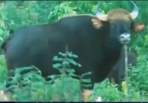 Ảnh chụp màn hình. Ảnh chụp màn hình.