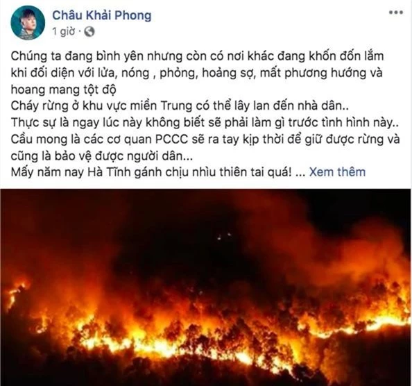 Đỗ Mỹ Linh, Hoà Minzy cùng sao Vbiz hướng về vụ cháy rừng kinh hoàng ở Hà Tĩnh - Ảnh 4.