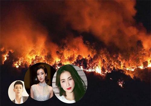 Đỗ Mỹ Linh, Hoà Minzy cùng sao Vbiz hướng về vụ cháy rừng kinh hoàng ở Hà Tĩnh