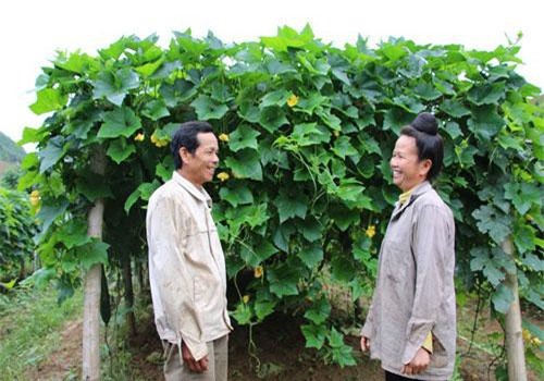 S&#x1A1;n La: Ho&#xE0;n l&#x1B0;&#x1A1;ng th&#xE0;nh tri&#x1EC7;u ph&#xFA; c&#x1EE7;a v&#x1EE3; ch&#x1ED3;ng t&#x1EEB;ng bu&#xF4;n &quot;c&#xE1;i ch&#x1EBF;t tr&#x1EAF;ng&quot;