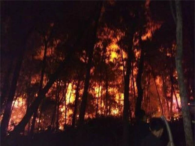 Khởi tố, bắt giam người gây ra vụ cháy rừng nghiêm trọng tại Hà Tĩnh - 2