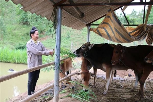 hoan luong thanh trieu phu cua vo chong tung buon "cai chet trang" hinh anh 3