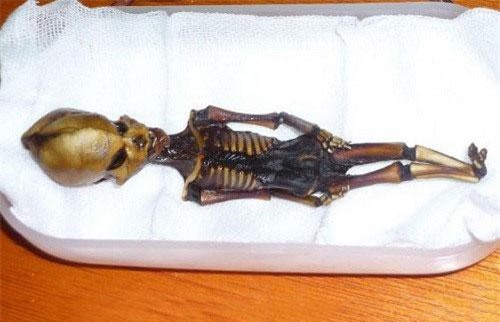 Giải mã bộ xương người ngoài hành tinh khiến thế giới sửng sốt