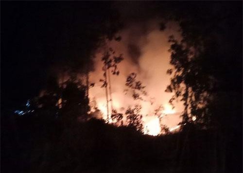 Cháy rừng suốt 1 ngày đêm tại Quảng Ngãi