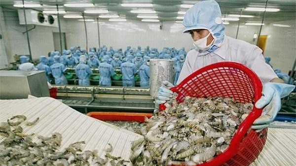 "Chỉ mong cơ quan chức năng đưa được ngành tôm vào CPTPP" 