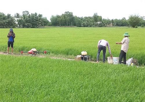 Long An: Nông dân hăm hở mua máy bay không người lái làm lúa
