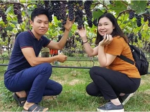 Ai lên Lạng Sơn ghé vườn nho độc nhất vô nhị, vạn người mê