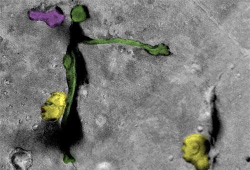 Sửng sốt loạt di tích lạ và bí ẩn trên sao Hỏa