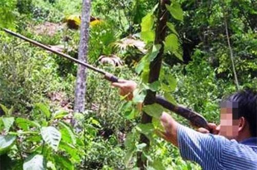 Bình Định: Khởi tố “thợ săn” bắn nhầm người vì tưởng thú rừng