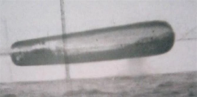Những bức ảnh chụp UFO này được cho là bằng chứng về chuyến viếng thăm Trái đất của người ngoài hành tinh tại vùng biển Đại Tây Dương. Trong ảnh là vật thể lạ có hình dáng giống điếu xì gà.