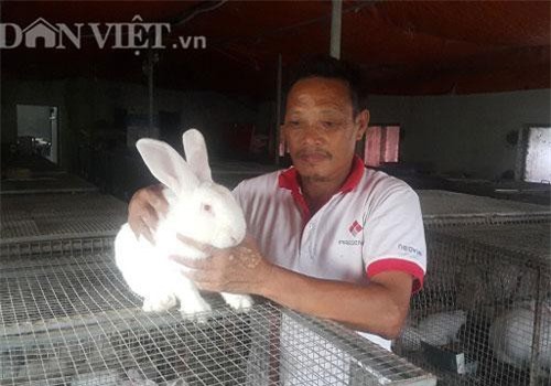 Thái Bình: Trên nuôi thỏ, dưới nuôi giun, lãi 20 triệu mỗi tháng