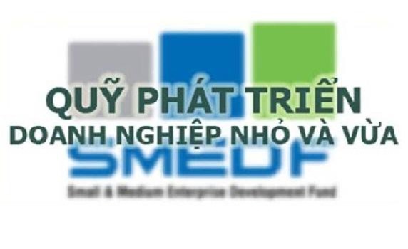 Quỹ Phát triển DNNVV cần phải gánh vác nhiệm vụ cho vay rủi ro mạo hiểm